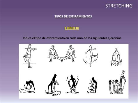 Stretching Estiramiento Condición Física