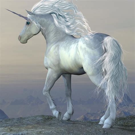 Are Unicorns Real Makhluk Mitos Kuda Wallpaper Unicorn