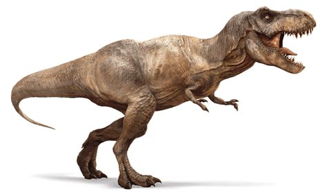 Dinosaurio Rex El Más Fiero De Todos