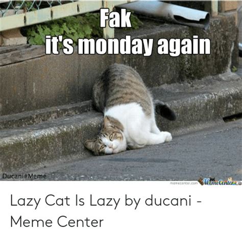 Fak Itsmonday Again Ucanimeme Memecentercom Meme Center Lazy Cat Is