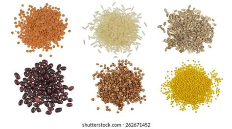 Collection Set Cereal Grains Seeds Heaps Stock Photo 262160342