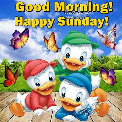 Good Morning Happy Sunday Pictures Photos And Images For Facebook