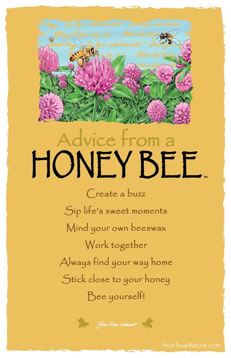 Advice From A Honey Bee Sip Lifes Sweet Moments Your True Nature