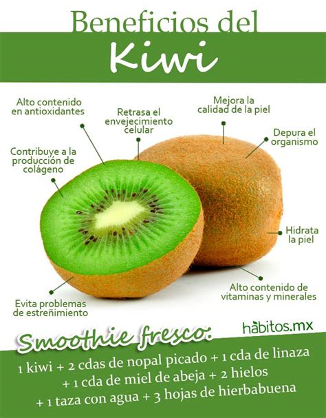 Beneficios Del Delicioso Kiwi H Bitos Health Coaching