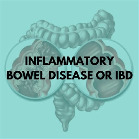 Inflammatory Bowel Disease Or Ibd