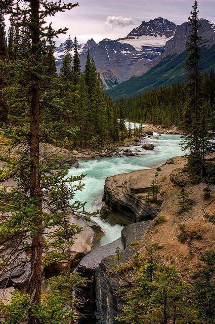 Mistaya River And Canyon Banff National Park Alberta Canada Canada