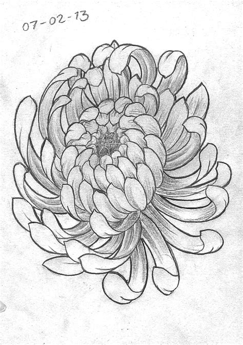 Chrysanthemum Paintings Search Result At