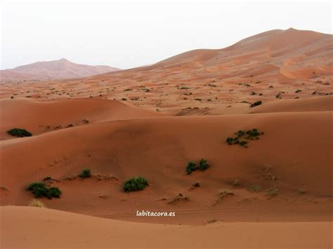 El Desierto De Merzouga O Erg Chebbi Está A Unos 40 Km De Risani A 50