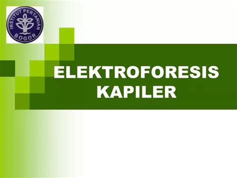 Ppt Elektroforesis Kapiler Powerpoint Presentation Free Download