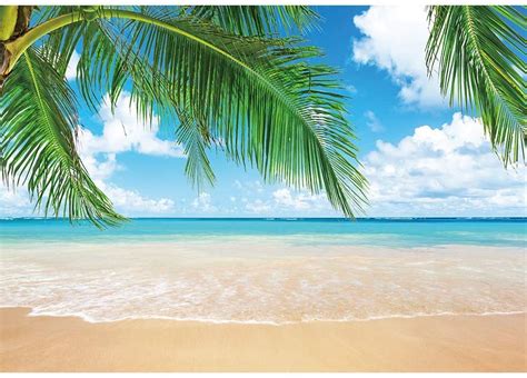 Allenjoy 7x5ft Summer Tropical Paradise Beach Backdrop Luau