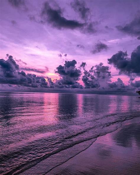 Aesthetics To Admire 🔗🔮 On Instagram 🌺 ↠ Purple Beach ⠀⁣ 📸 ↠ Yeah