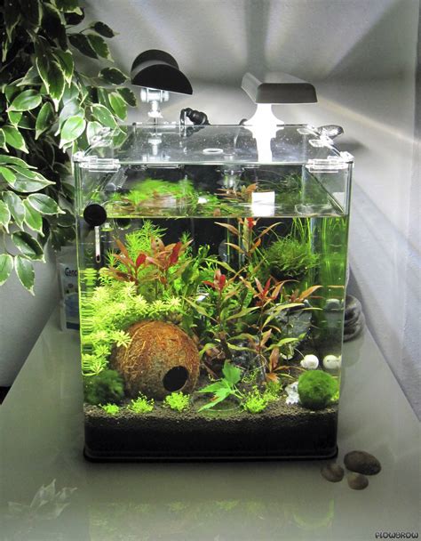 About our galaxy a30 review. Coconut hideout (30 Liter Cube) - Flowgrow Aquascape ...