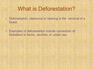 Deforestation Ppt