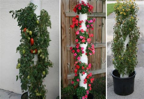 Diy Vertical Pvc Planter Home Design Garden