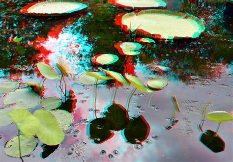 Hortus Amsterdam 3d Anaglyph Stereo Redcyan Wim Hoppenbrouwers