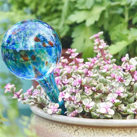 3pcs Glass Self Watering Globes For Plants Usamerica Shop