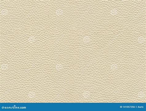 Seamless Leather Texture Stock Photo Image Of Texture 141057356