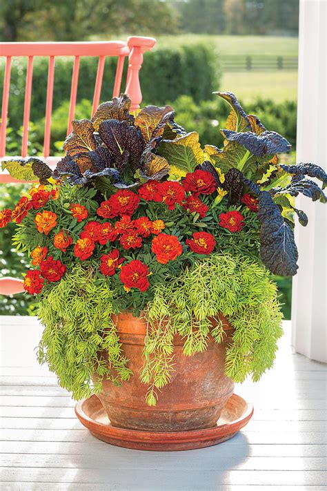 Fall Container Gardening Ideas Southern Living