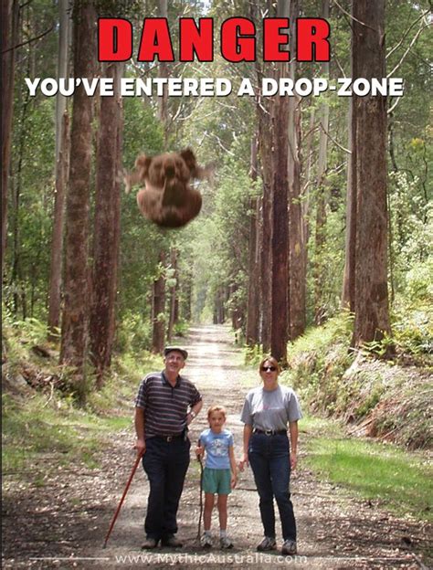 What Is A Drop Bear Mythic Australia