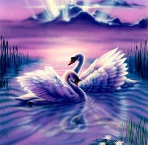 Cisnes No Lago Swan Painting 5d Diamond Painting Swan Pictures