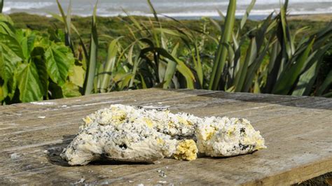 Mystery Butter Like Substance Washes Up On Whanganui S Castlecliff