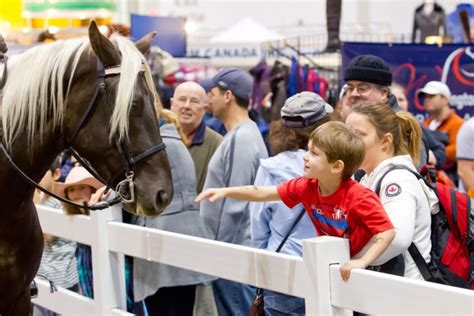 The Royal Agricultural Winter Fair The Royal Agricultural Fair