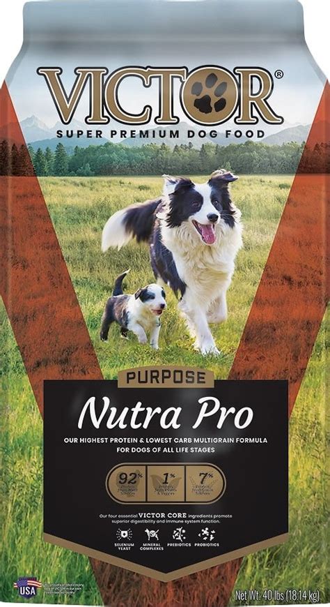 Carbohydrates are not healthy for dogs in the high doses they get in the every day dog food. Best & Healthiest Low Carb Dog Foods: Our 2020 Guide