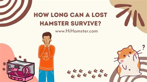 How Long Can A Lost Hamster Survive Hi Hamster