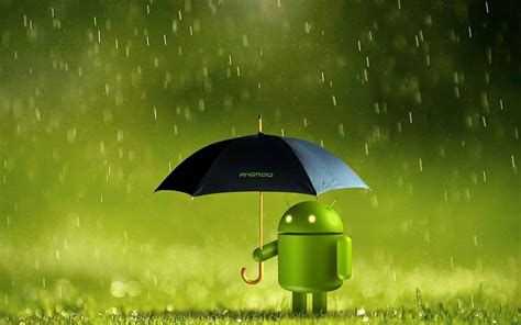 Android 13 Logo Wallpaper