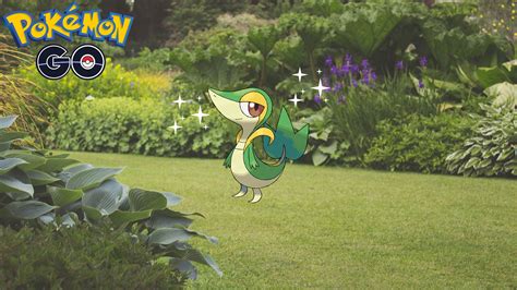 How To Catch Shiny Snivy In Pok Mon Go Gamer Journalist