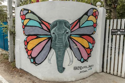 A Street Art Guide To Mirissa Sri Lanka 11 Of The Prettiest Painted