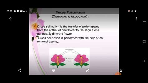 cross pollination youtube