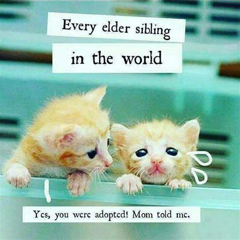 51 brother to brother quotes. If your elder brother/sister never told you "you are adopted" chances are you're actually ...