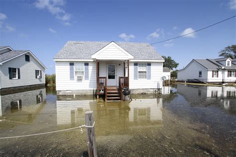Insights Tips To Reduce The Impact Of Flooding To Your Home