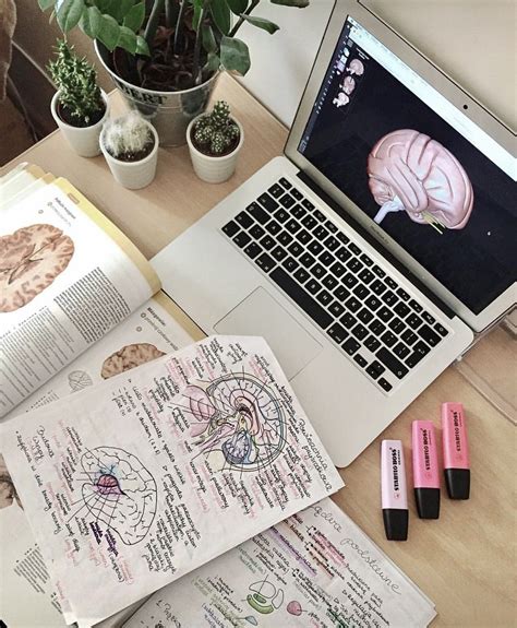 Ig Medreamm Medical School Motivation Study Inspiration Medical