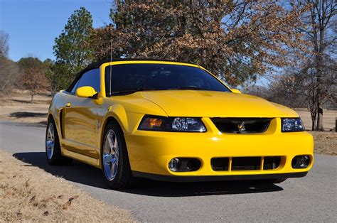 2004 Mustang Cobra Terminator For Sale Screaming Yellow Convertible