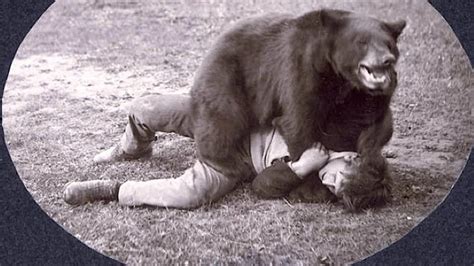 This Is Historys Greatest Photo Of A Bear Beating Up A Man