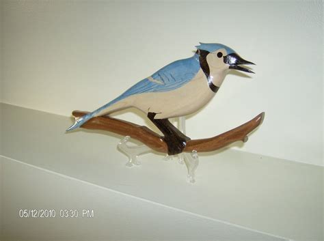 Intarsia Blue Jay By Dbourque ~ Woodworking Community