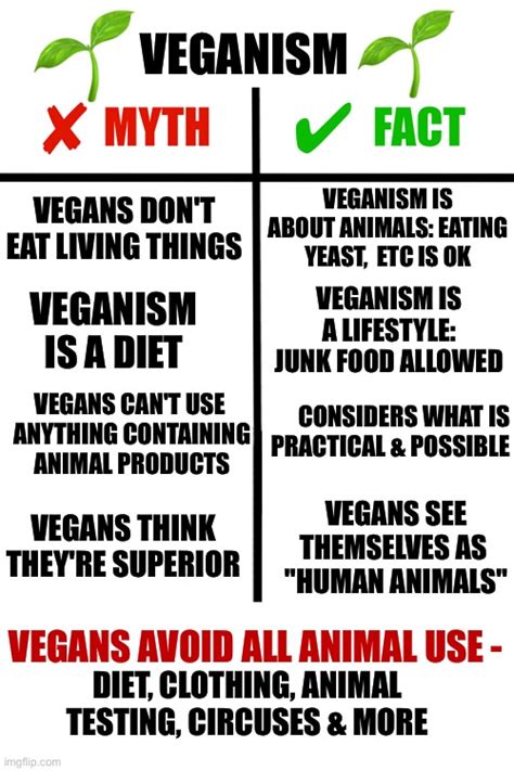 vegan facts and myths poster veganism imgflip