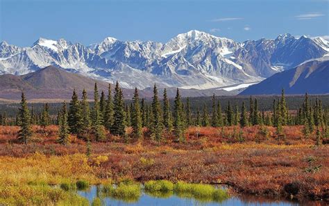 How To Survive In The Alaskan Wilderness Alaska Wilderness League