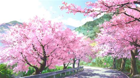 High Quality Wallpaper Anime Cherry Blossom Background