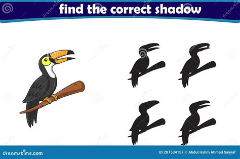 Funny Cartoon Toucan Find The Correct Shadow Kids Education Games