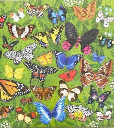 Crocodile Creek Thirty Six Butterflies 300 Piece Puzzle Complete For