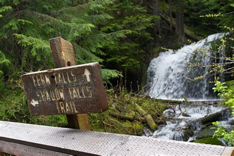 Shadow And Fern Falls Hike Flickr Photo Sharing