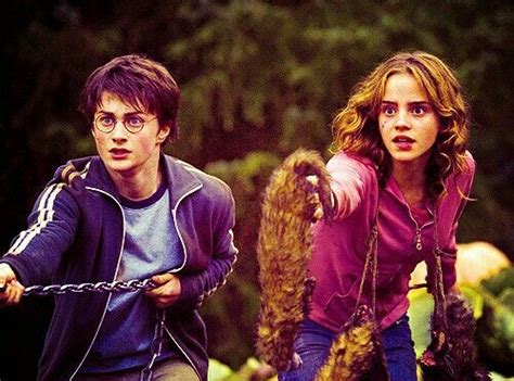 Harry And Hermione Ron Weasley Hermione Granger Harry Potter Series