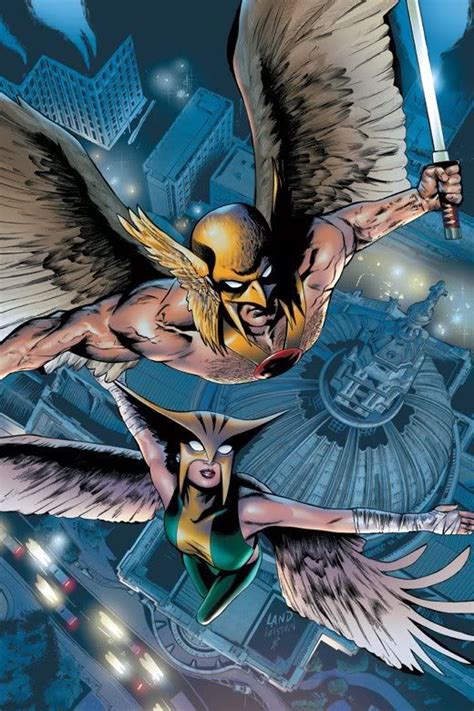 Hawkman And Hawkgirl Hawkgirl Hawkman Dc Comics Art