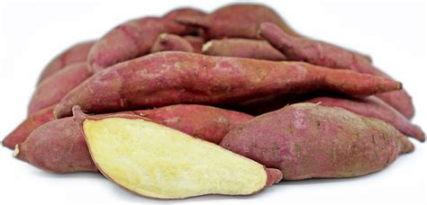 Japanese Sweet Potatoes Information And Facts