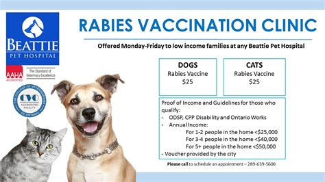 How Much Are Rabies Shots For Dogs In Ontario