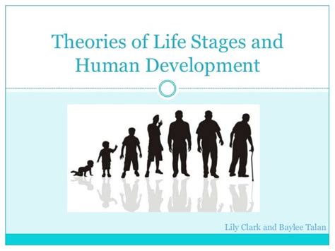 Theories Of Life Stages And Human Development