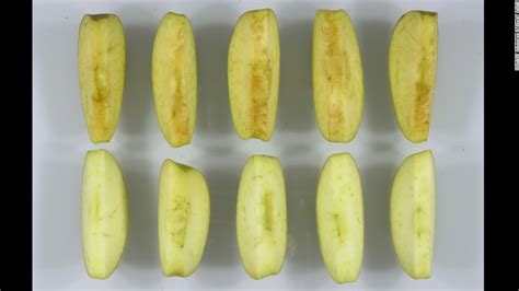 Genetically Modified Apples Dont Turn Brown If Sliced Cnn